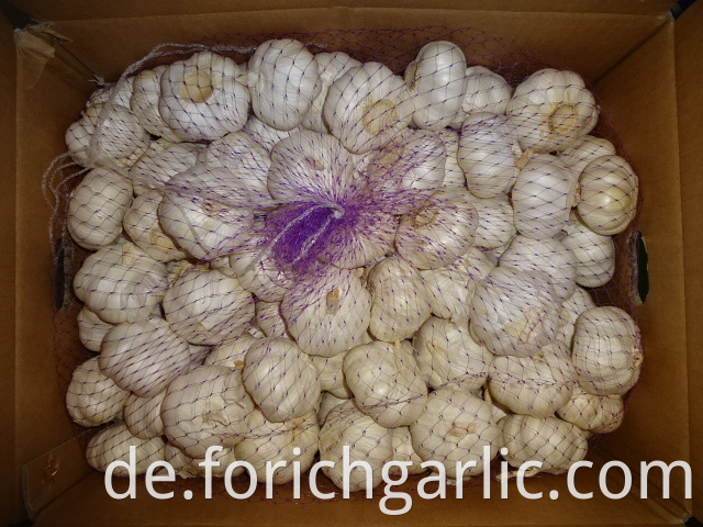 Fresh Pure White Garlic 2019